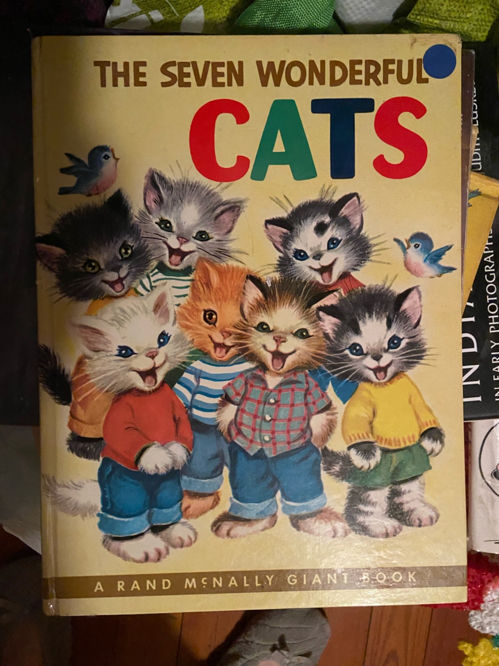 Vintage Seven Wonderful Cats Children’s Illustrated book kittens illustrations